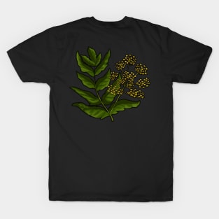 Wild Parsnip - Poisonous Pretties T-Shirt